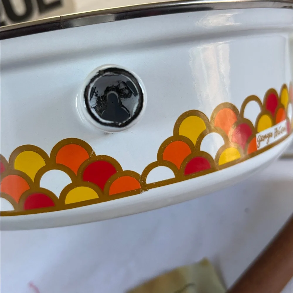 Georges Briard Boutique Vintage/Unused Porcelain Enamel 10” Lidded Chicken Fryer